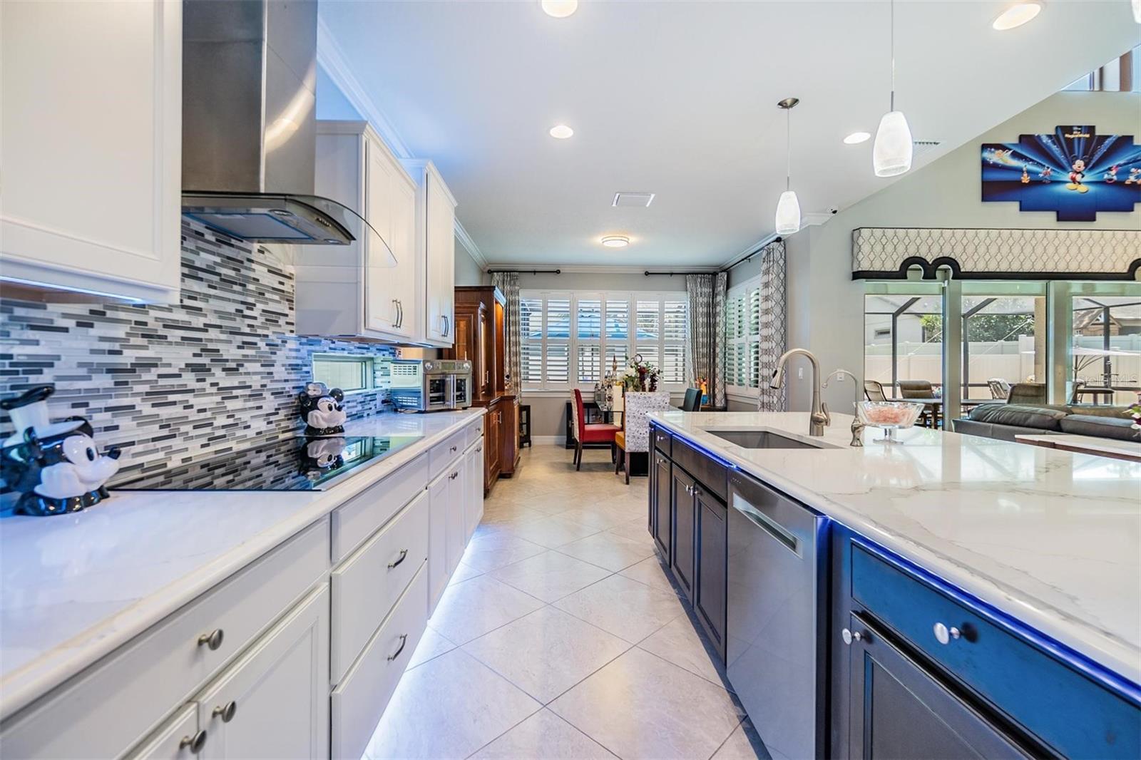 Listing photo id 11 for 10313 Scarlet Chase Drive