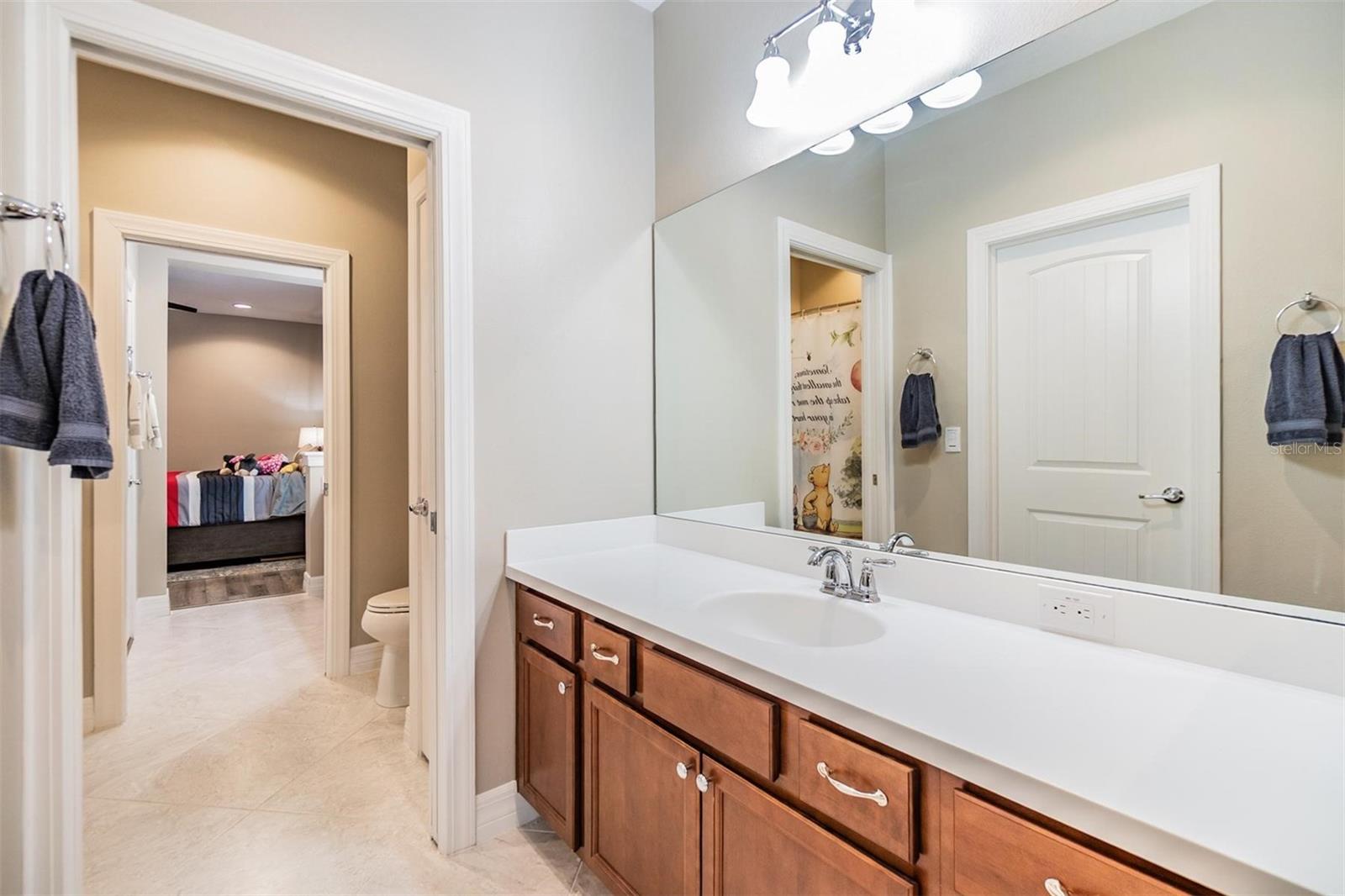 Listing photo id 32 for 10313 Scarlet Chase Drive
