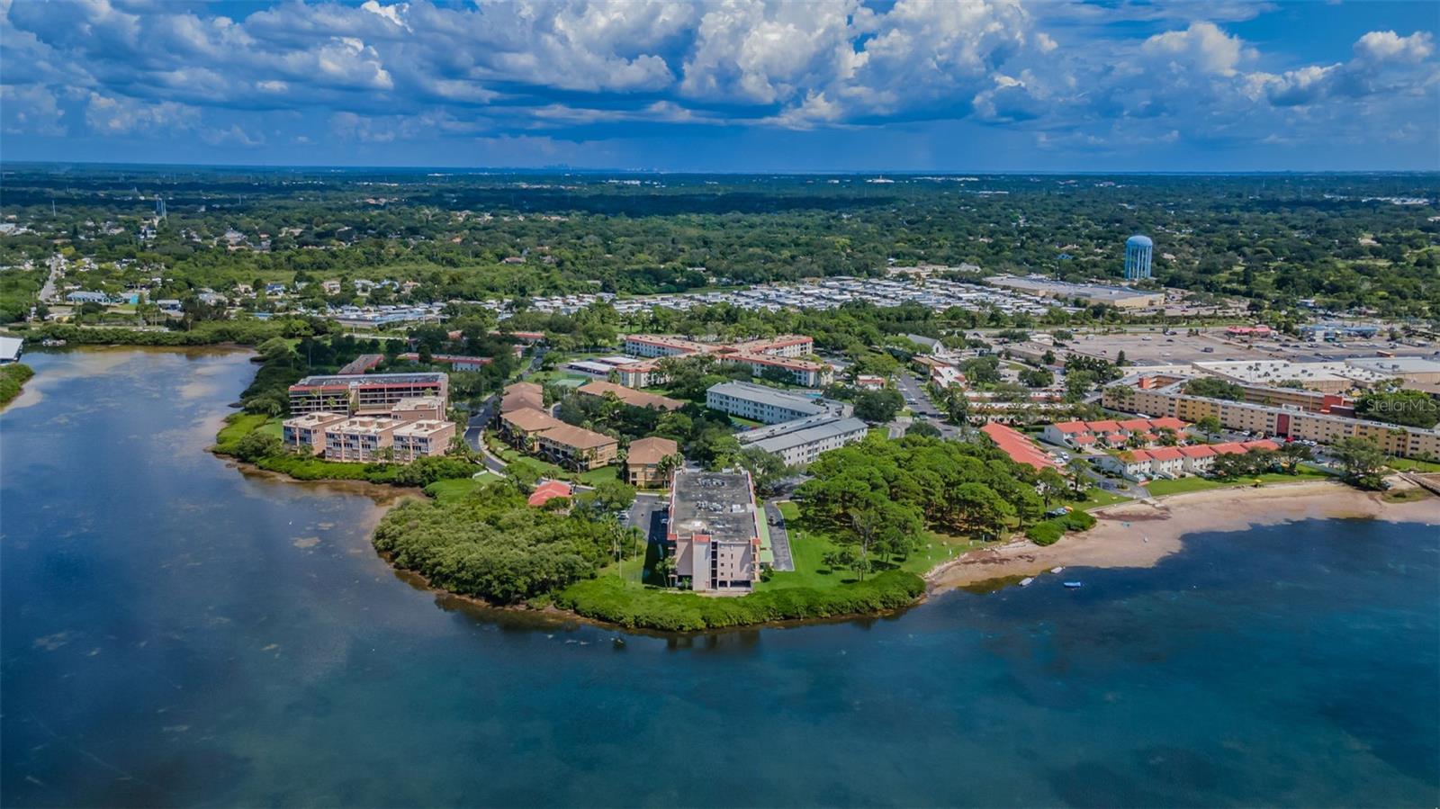 Image 32 of 45 For 2700 Bayshore Boulevard 586