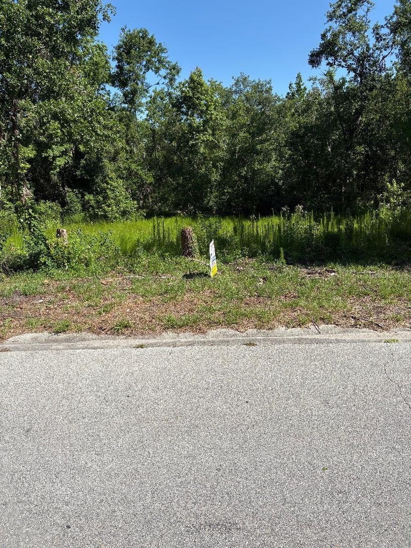 Details for 15 Lake Hills Drive, RIVERVIEW, FL 33578