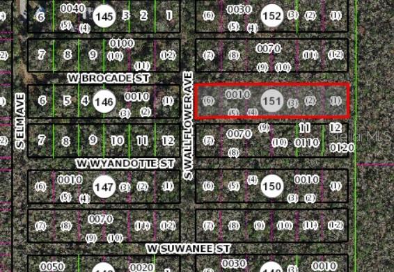 Details for 10006 Brocade Street, HOMOSASSA, FL 34448