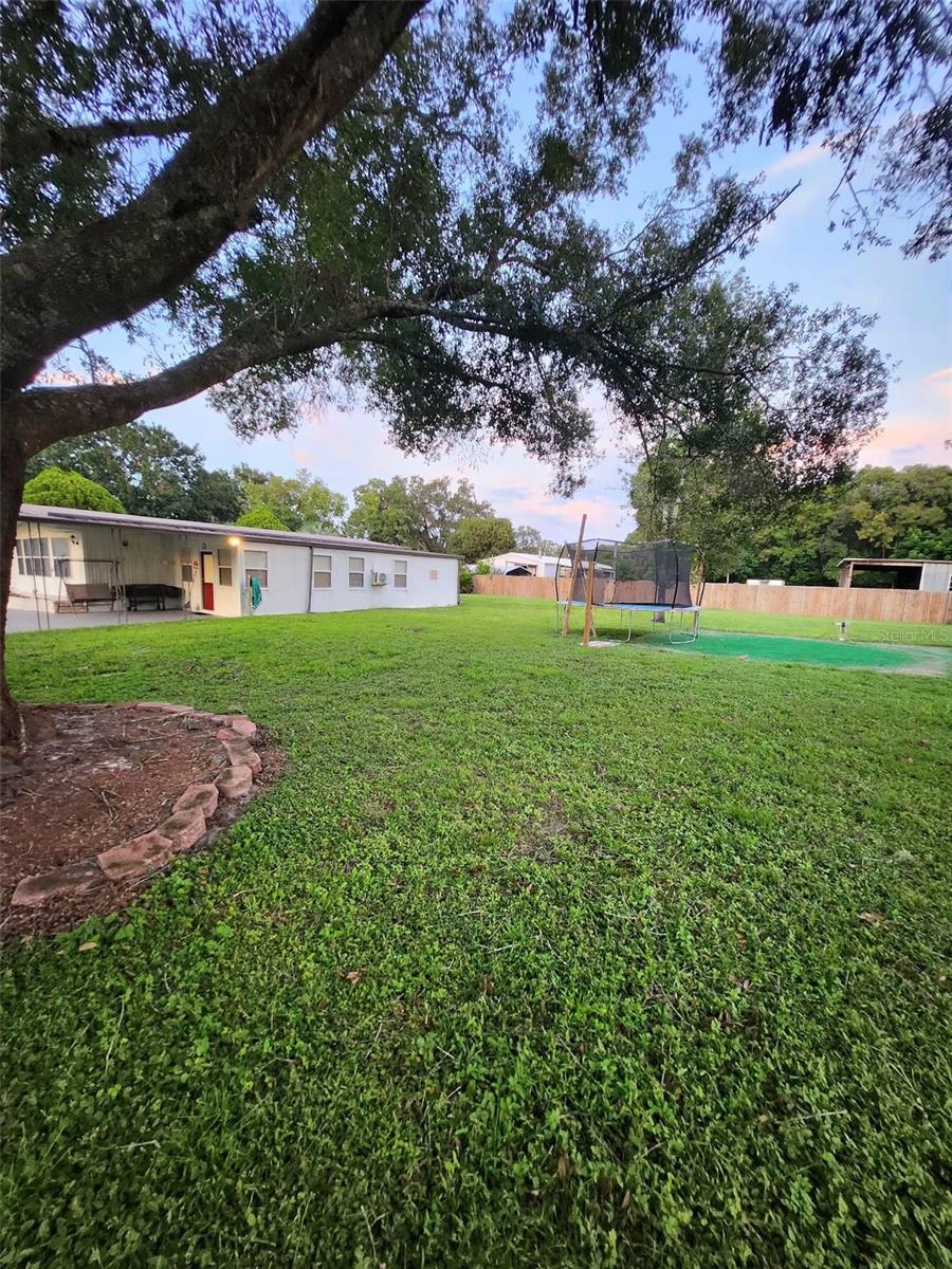 Image 46 of 53 For 33516 Arthur Drive