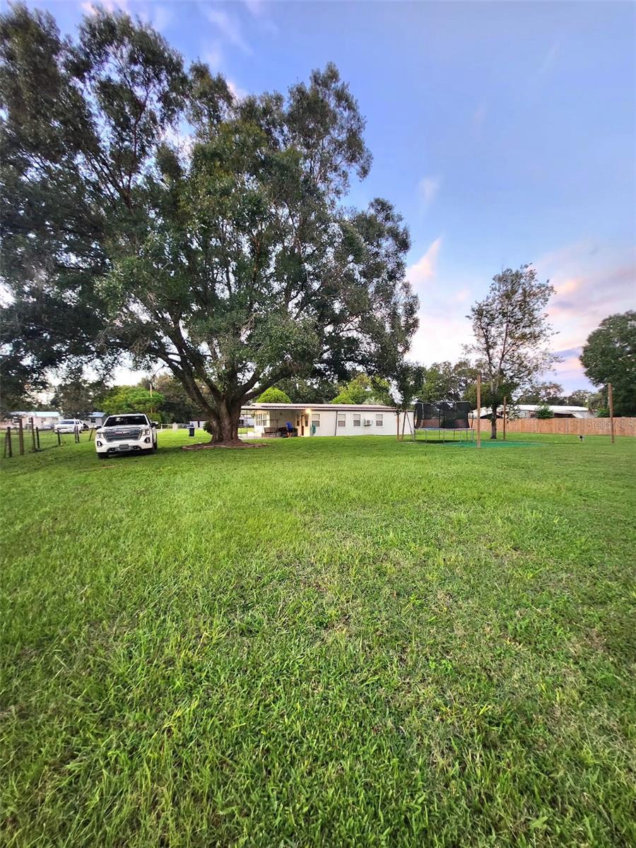 Image 47 of 53 For 33516 Arthur Drive