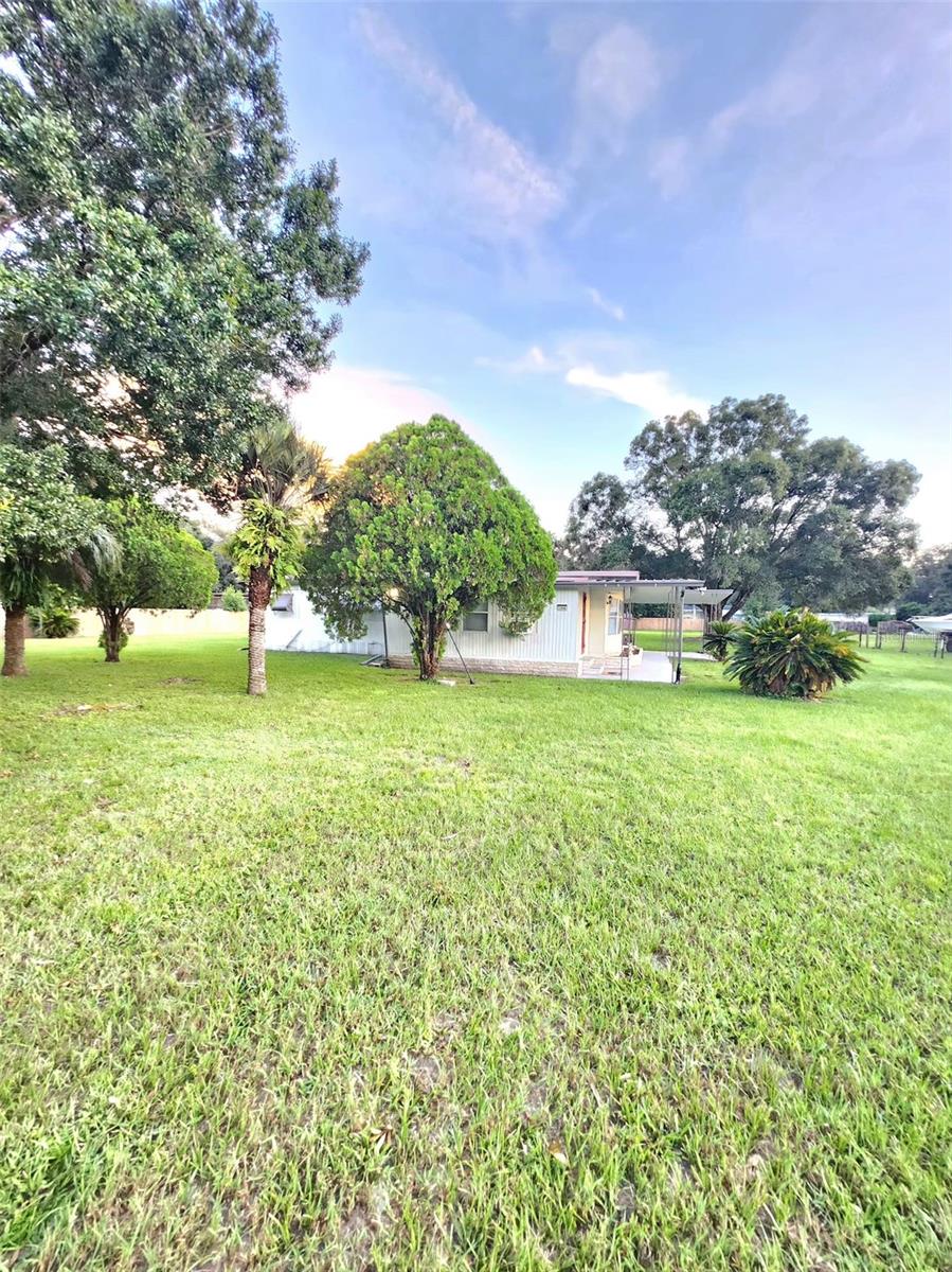 Image 48 of 53 For 33516 Arthur Drive