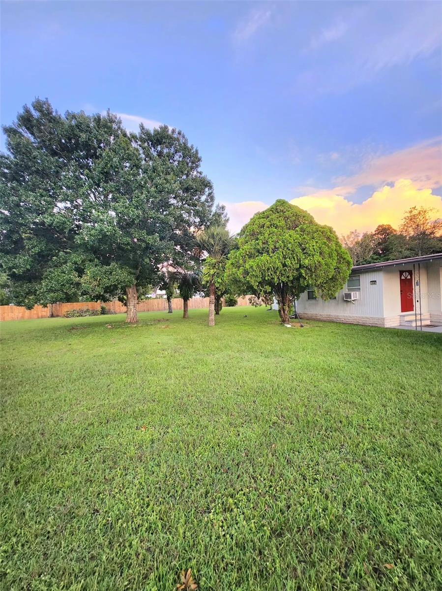Image 51 of 53 For 33516 Arthur Drive