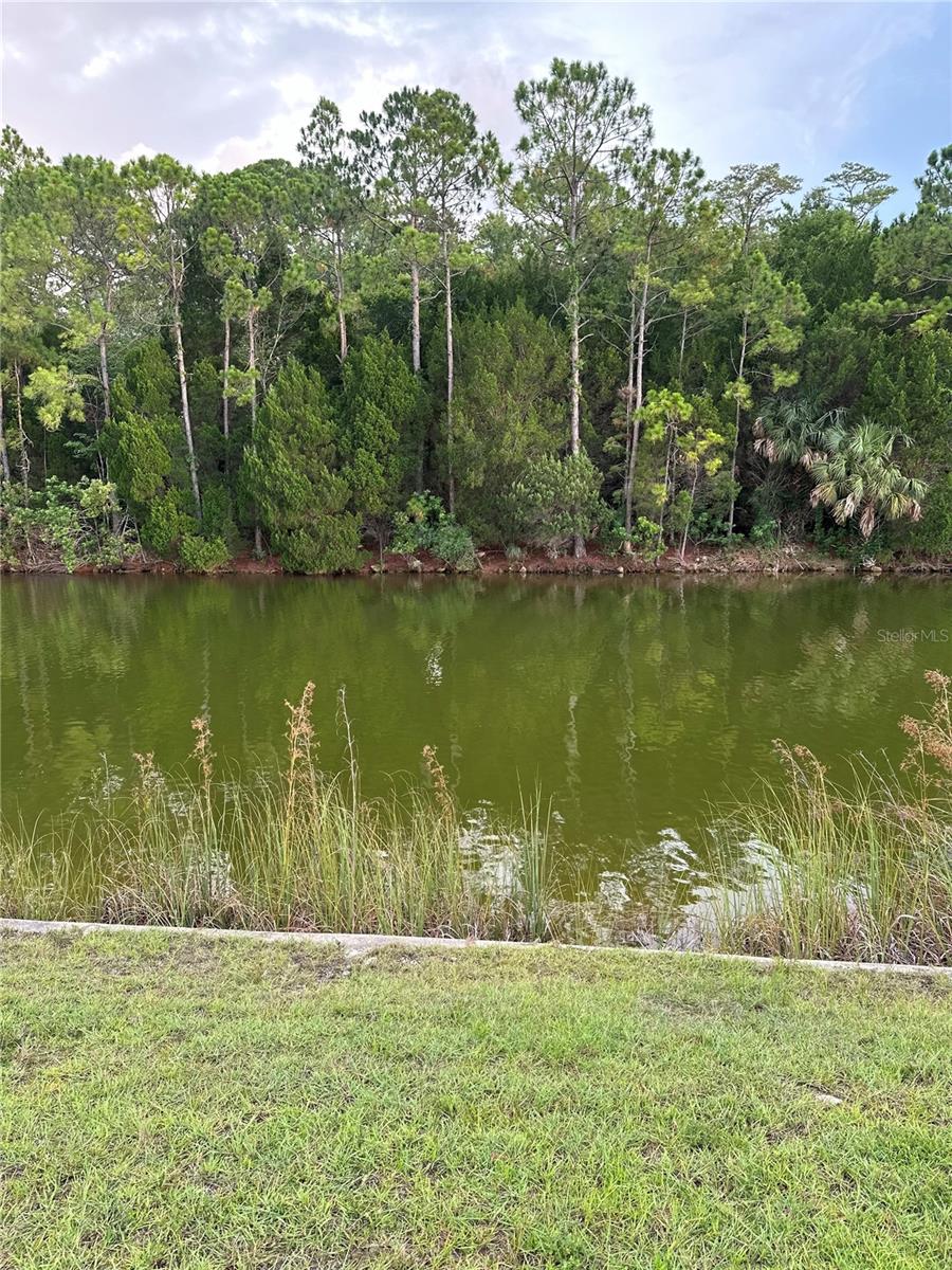 Image 8 of 24 For 4058 Jewfish Drive