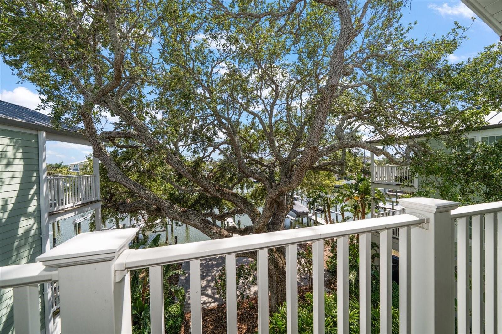Image 18 of 64 For 215 18th Avenue