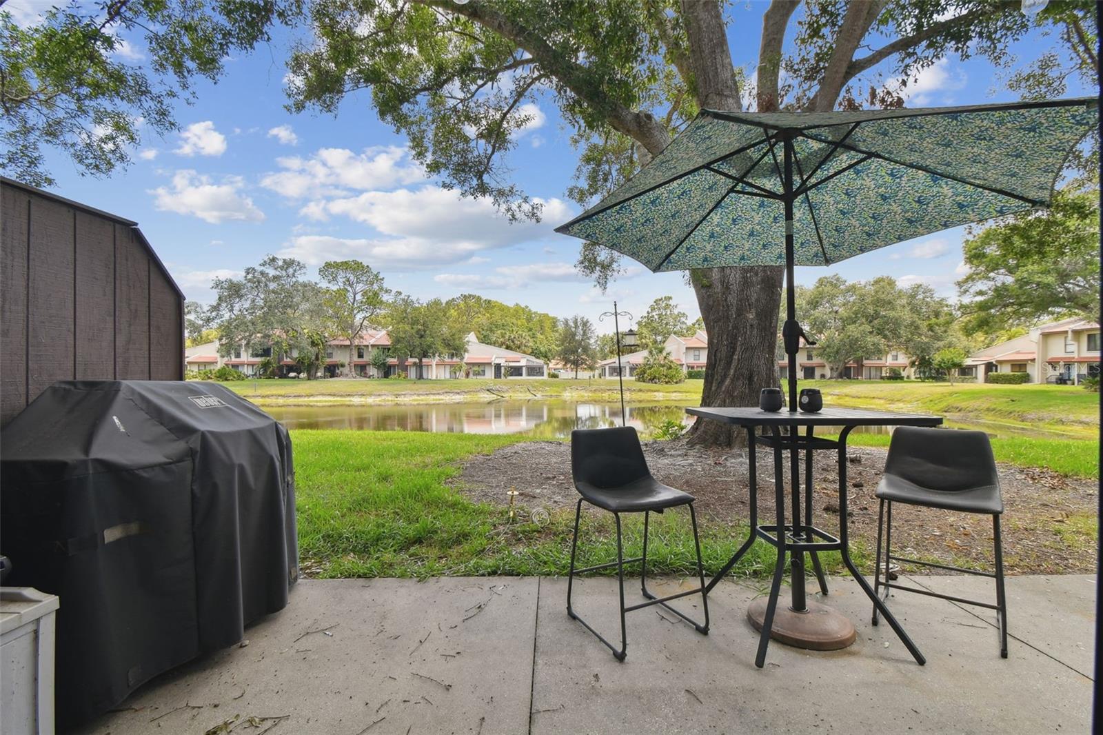 Image 48 of 72 For 3505 Tarpon Woods Boulevard P404