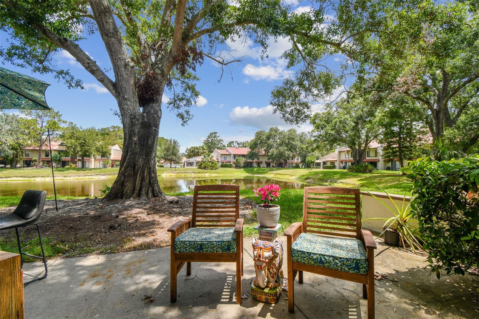 Image 52 of 72 For 3505 Tarpon Woods Boulevard P404