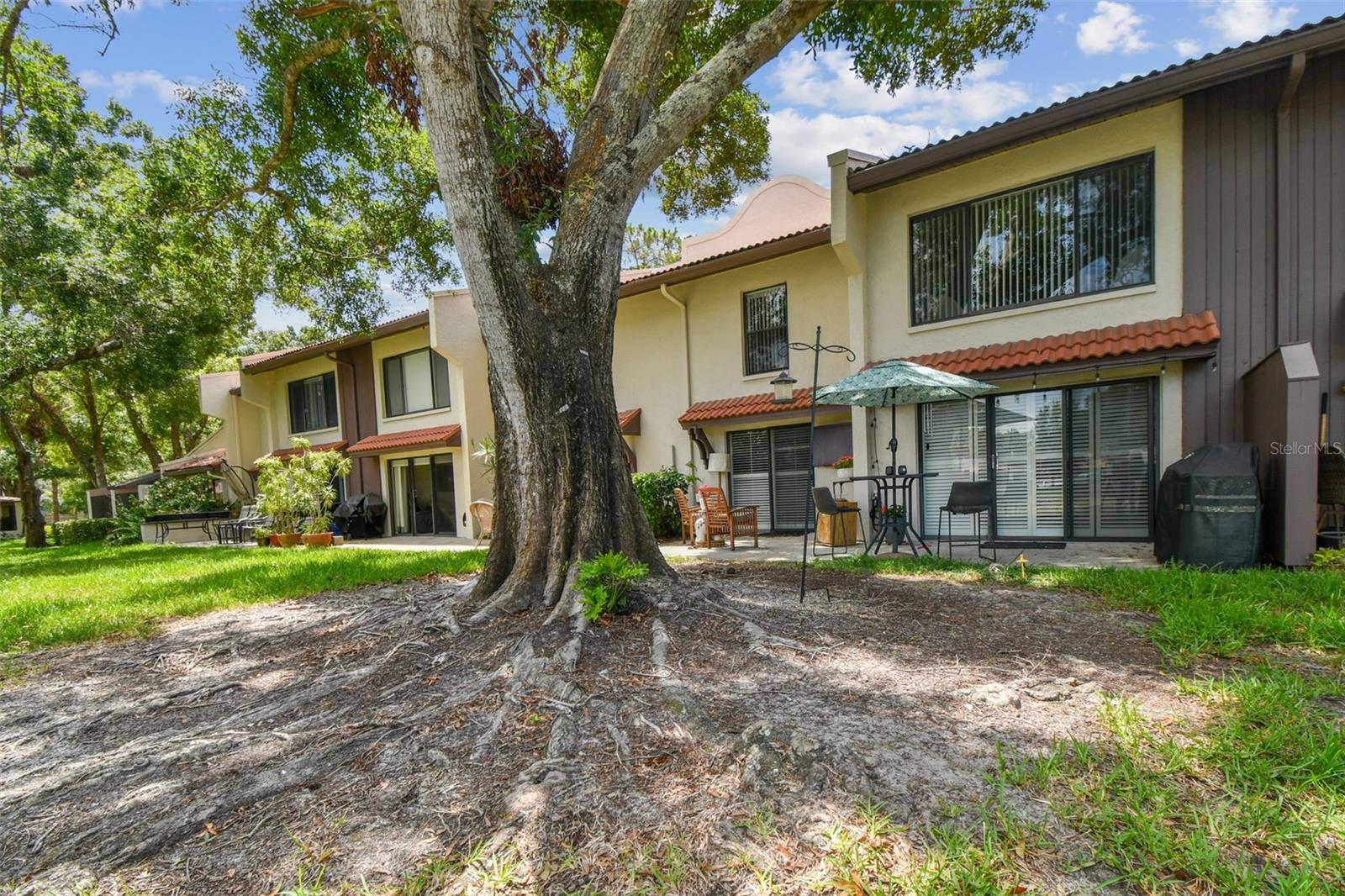 Image 55 of 72 For 3505 Tarpon Woods Boulevard P404
