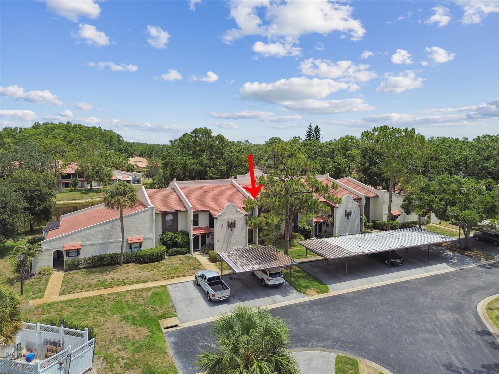 Image 56 of 72 For 3505 Tarpon Woods Boulevard P404