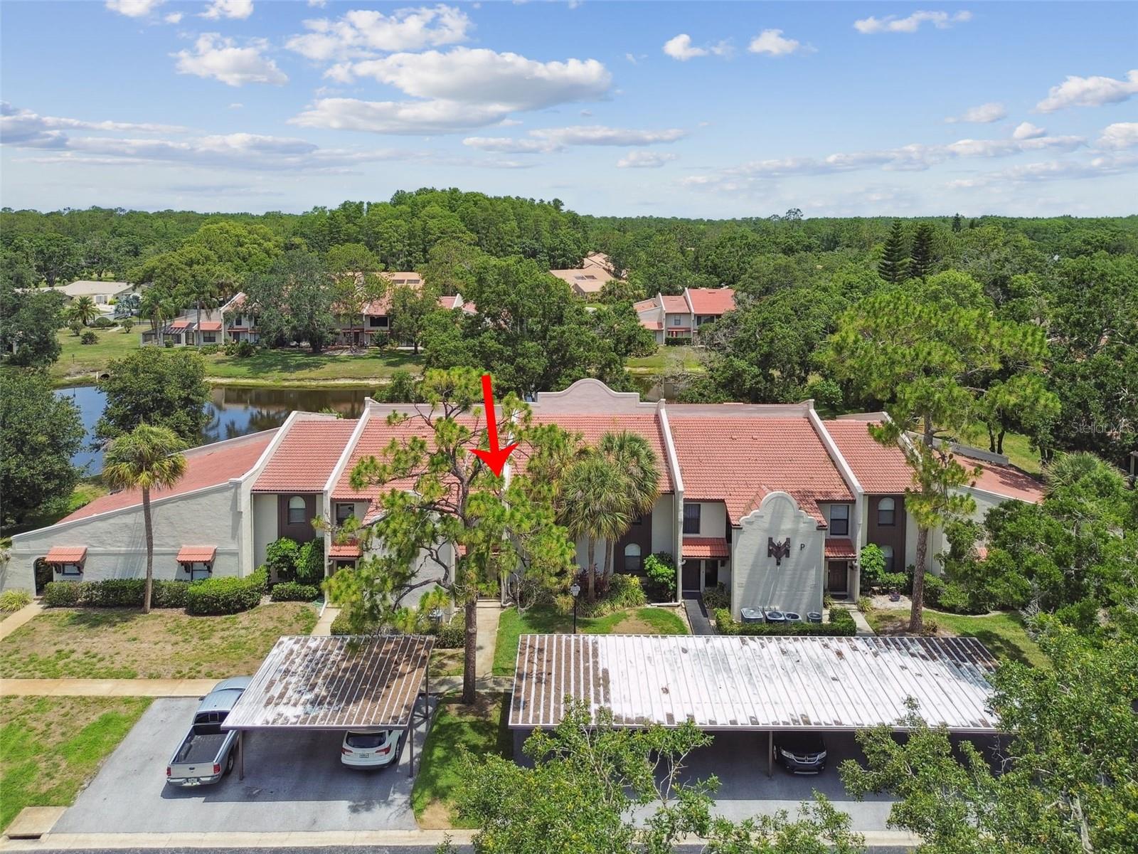 Image 57 of 72 For 3505 Tarpon Woods Boulevard P404