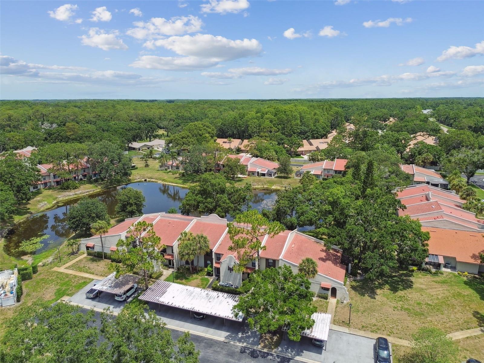 Image 58 of 72 For 3505 Tarpon Woods Boulevard P404