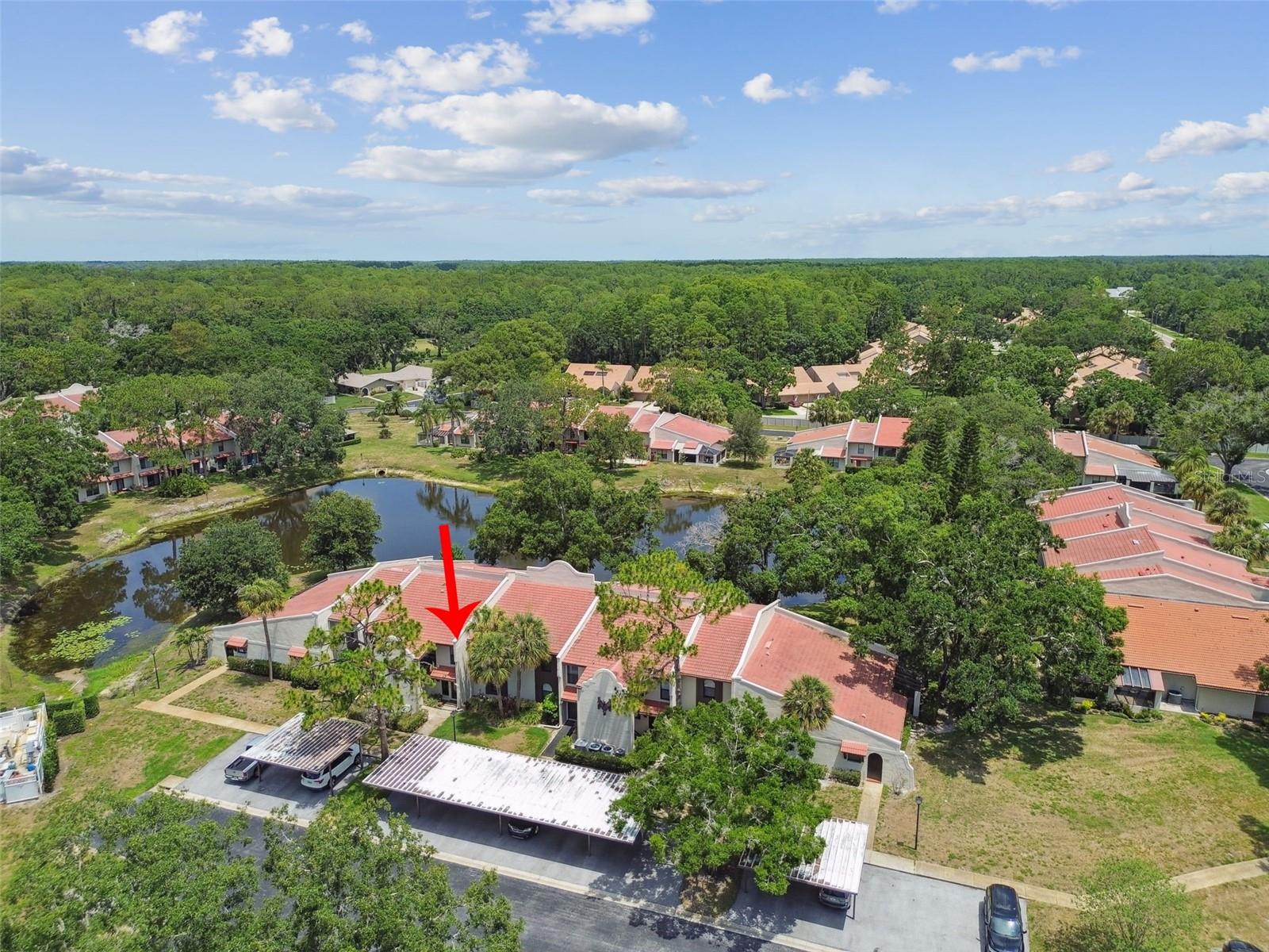 Image 59 of 72 For 3505 Tarpon Woods Boulevard P404