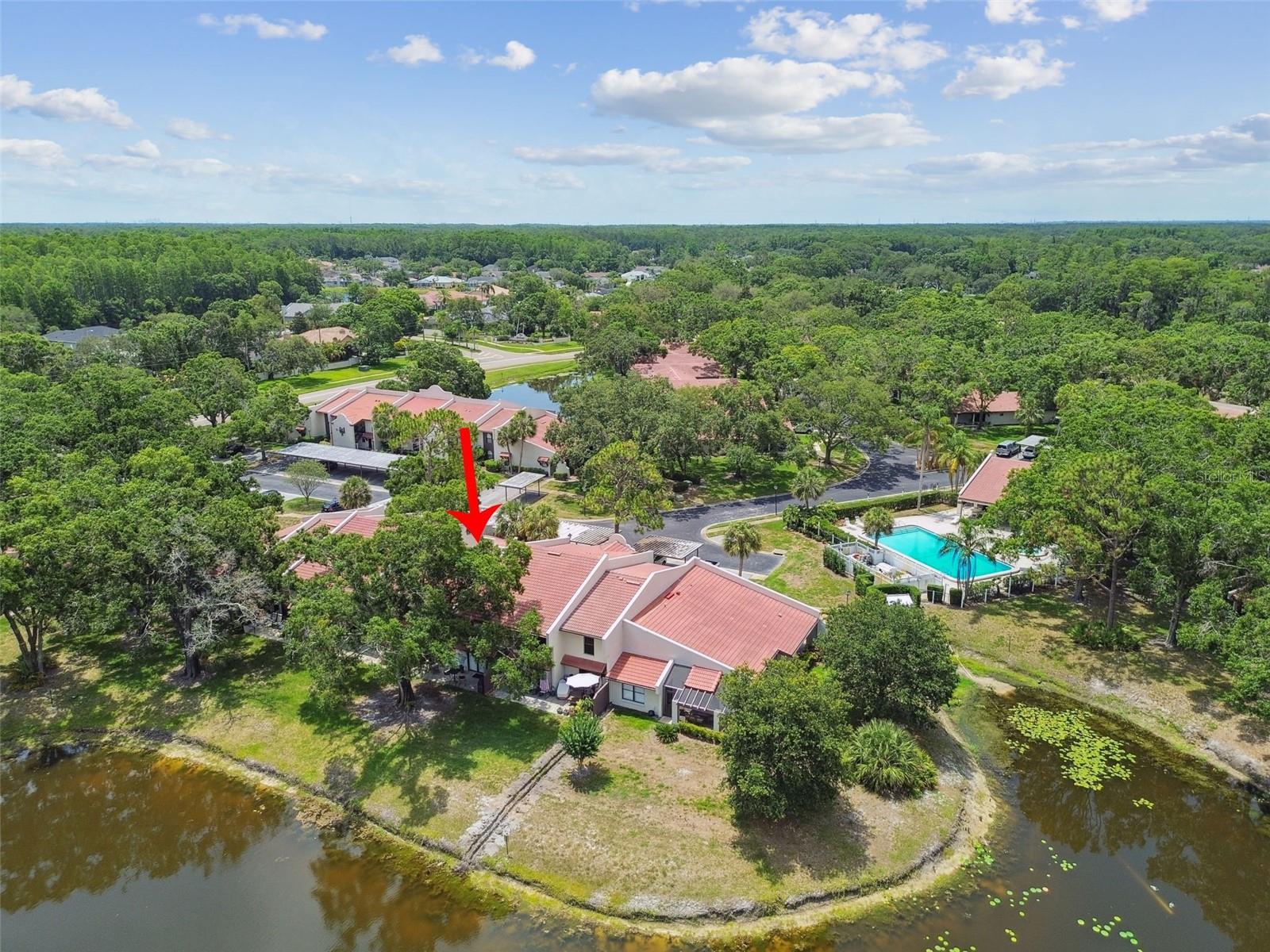 Image 60 of 72 For 3505 Tarpon Woods Boulevard P404