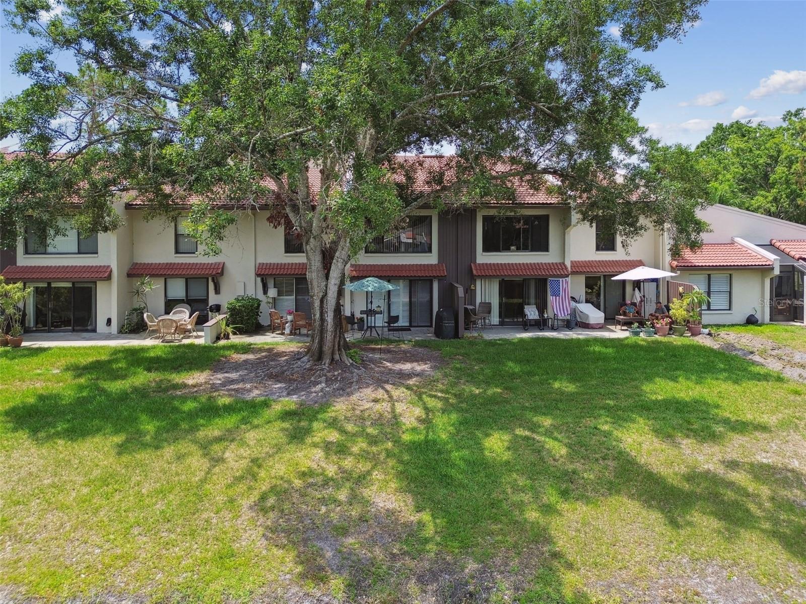 Image 62 of 72 For 3505 Tarpon Woods Boulevard P404