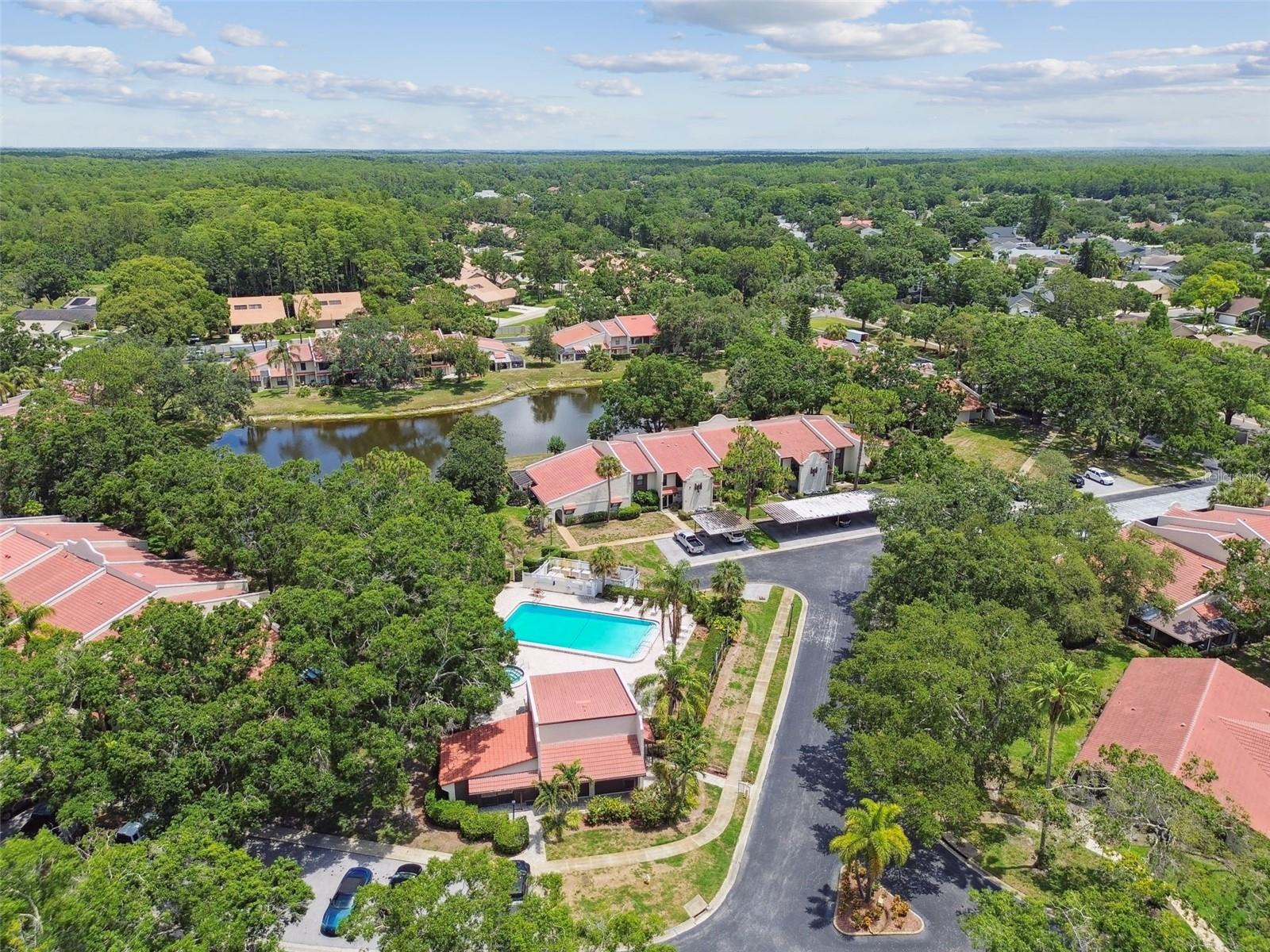 Image 63 of 72 For 3505 Tarpon Woods Boulevard P404
