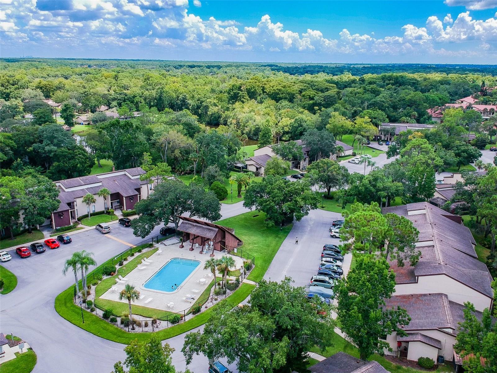 Image 66 of 72 For 3505 Tarpon Woods Boulevard P404