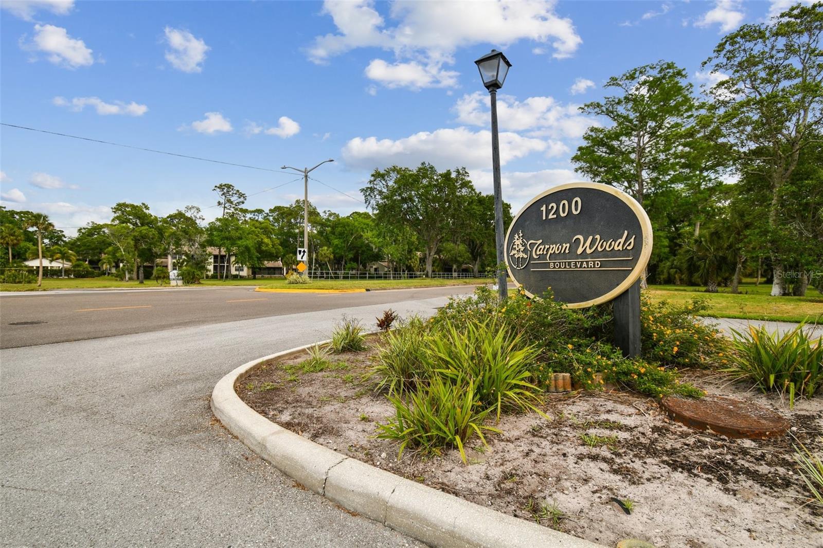 Image 67 of 72 For 3505 Tarpon Woods Boulevard P404