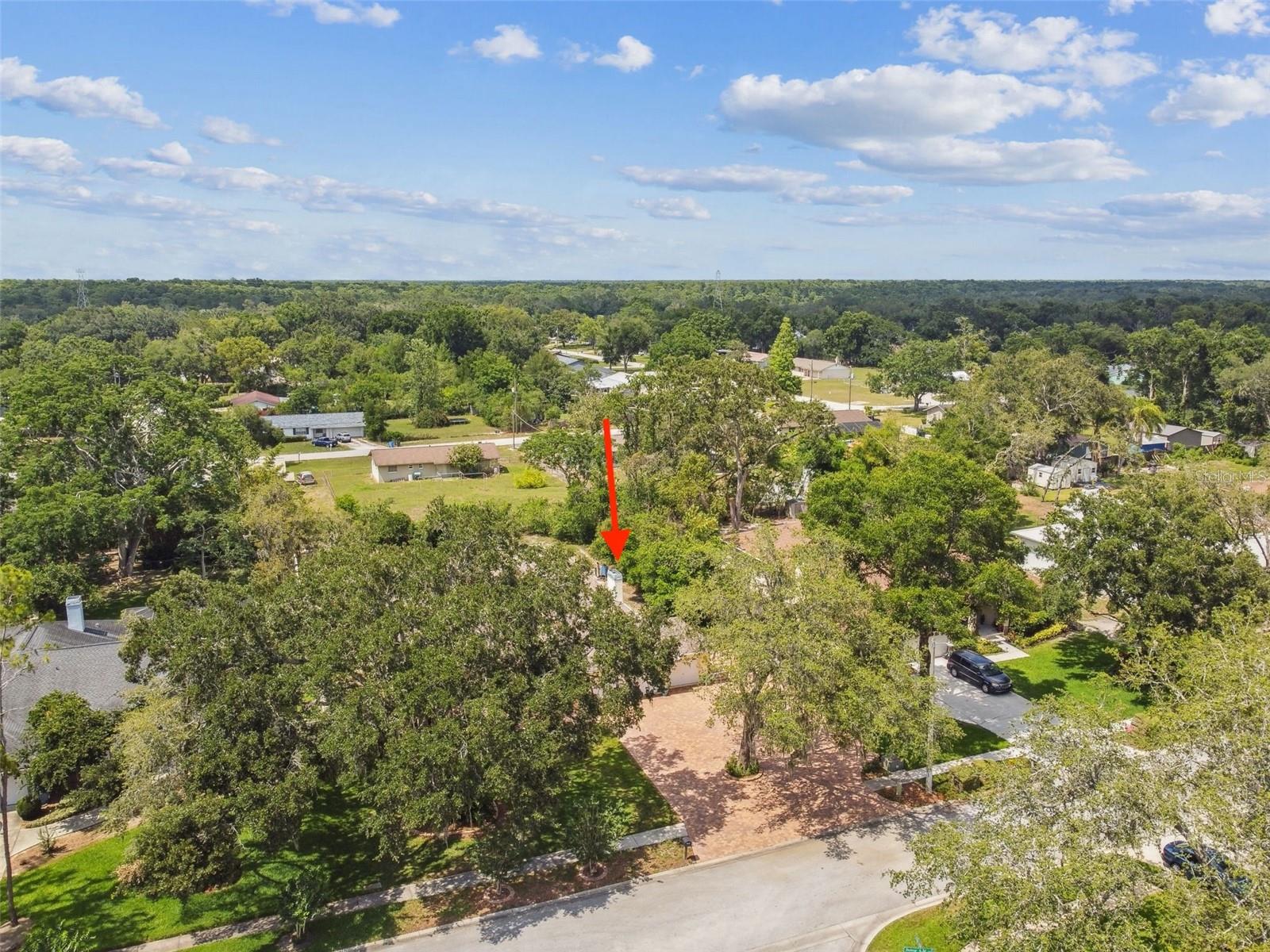 Image 92 of 96 For 10306 Shalimar Wood Drive