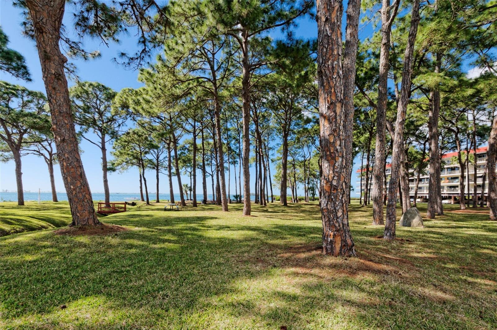 Image 39 of 55 For 2700 Bayshore Boulevard 11405