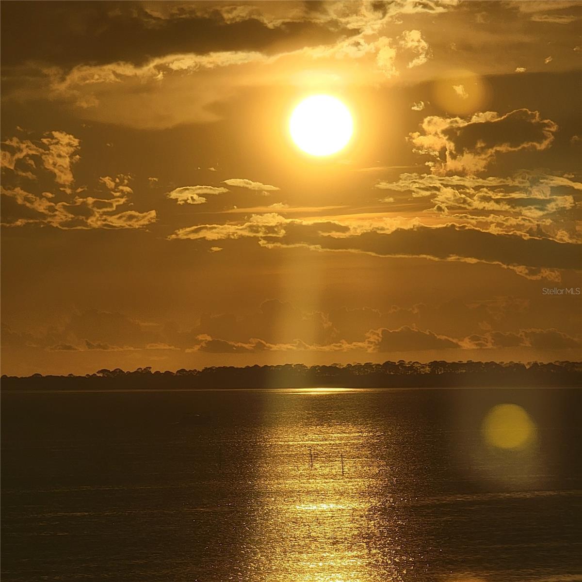 Image 7 of 55 For 2700 Bayshore Boulevard 11405
