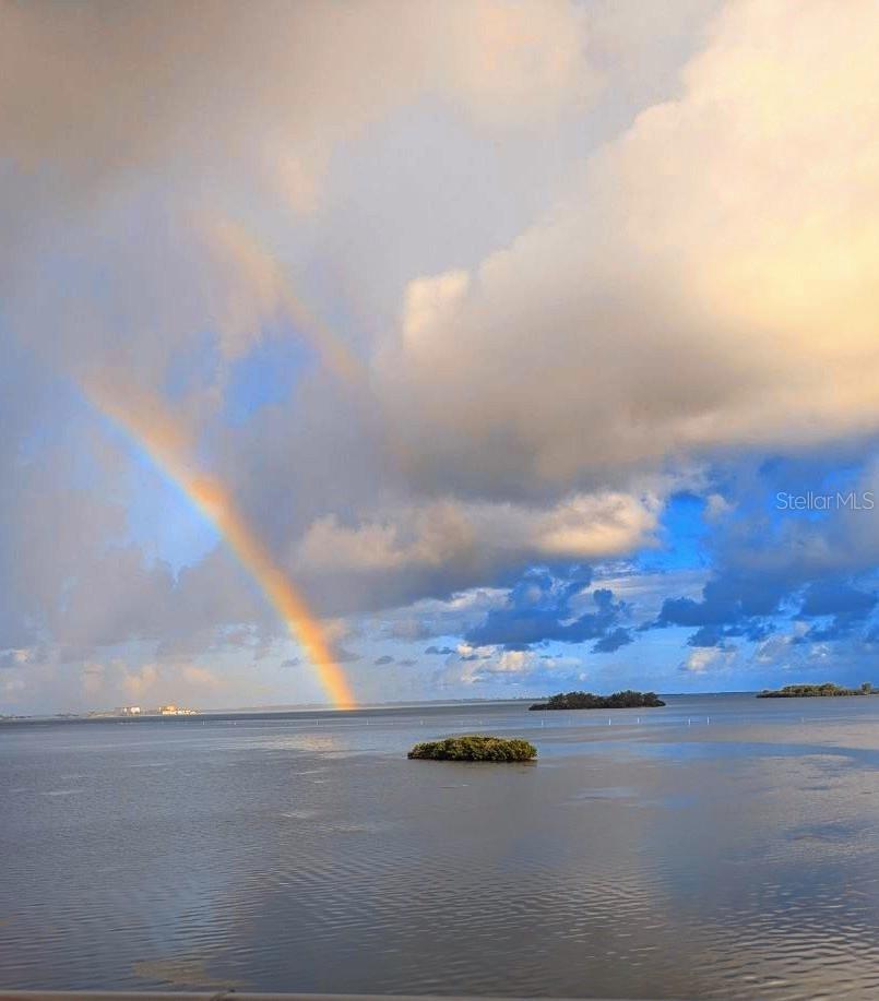 Image 8 of 55 For 2700 Bayshore Boulevard 11405