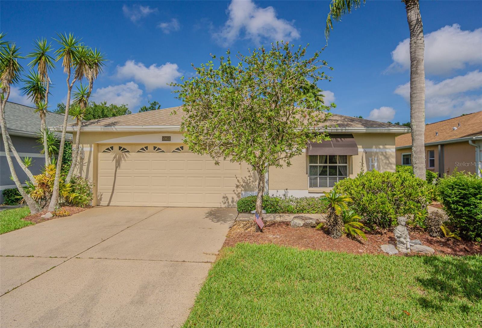 Details for 10801 Collar Drive, SAN ANTONIO, FL 33576