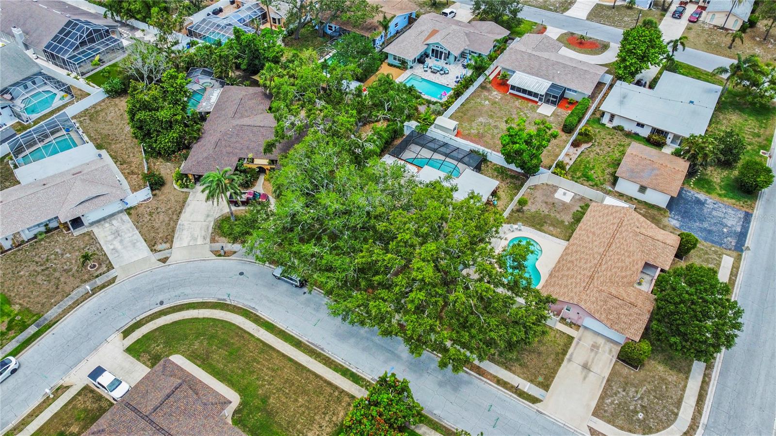 Listing photo id 30 for 14321 113th Avenue
