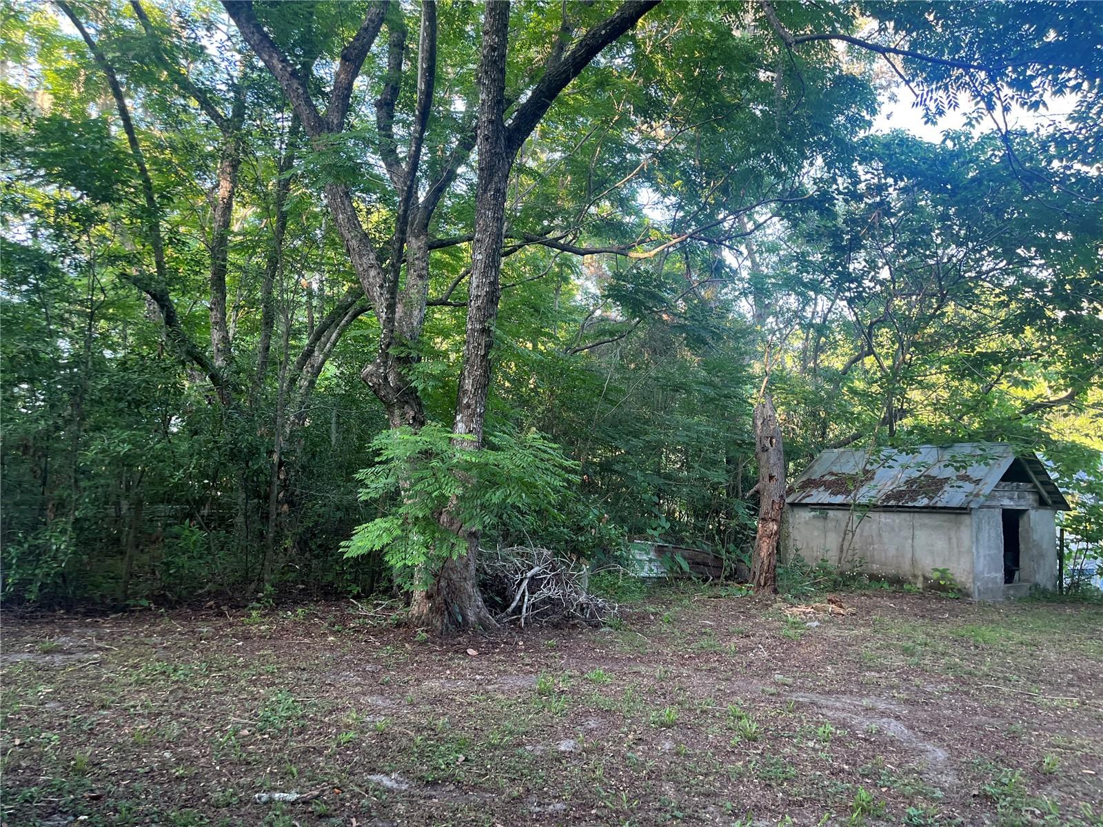Image 2 of 28 For 25425 Olympia Road