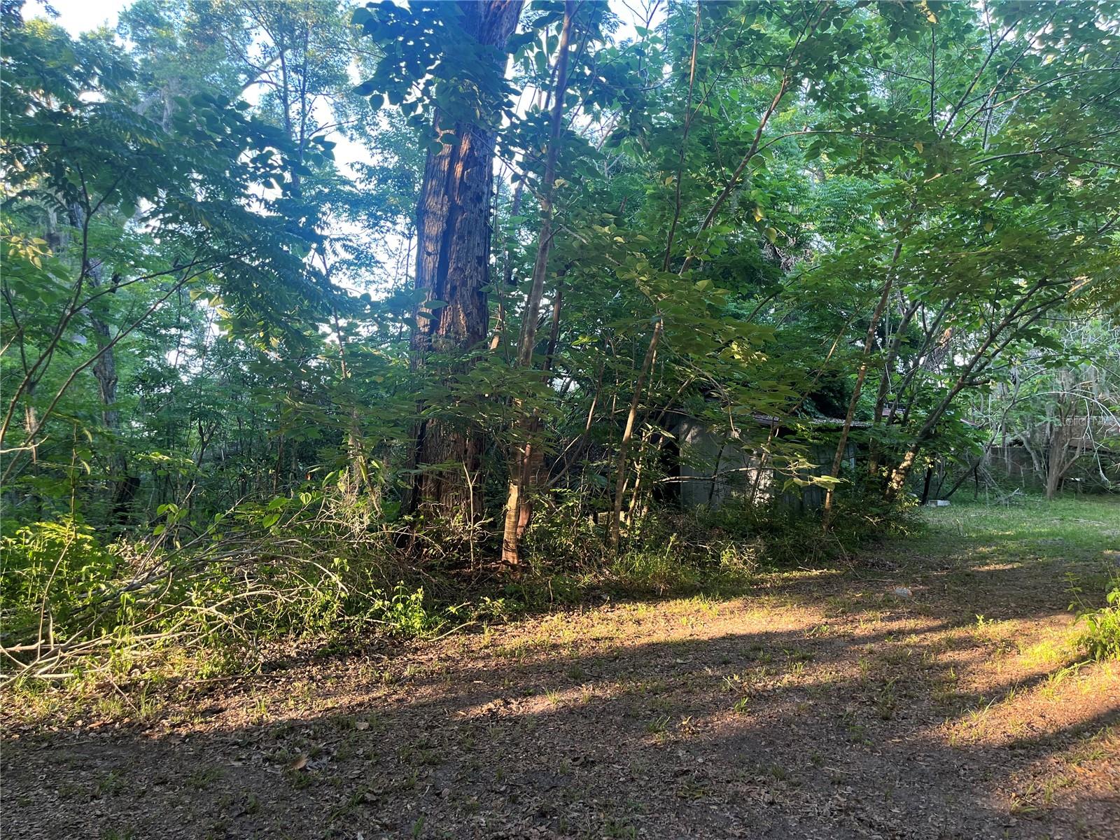 Image 7 of 28 For 25425 Olympia Road