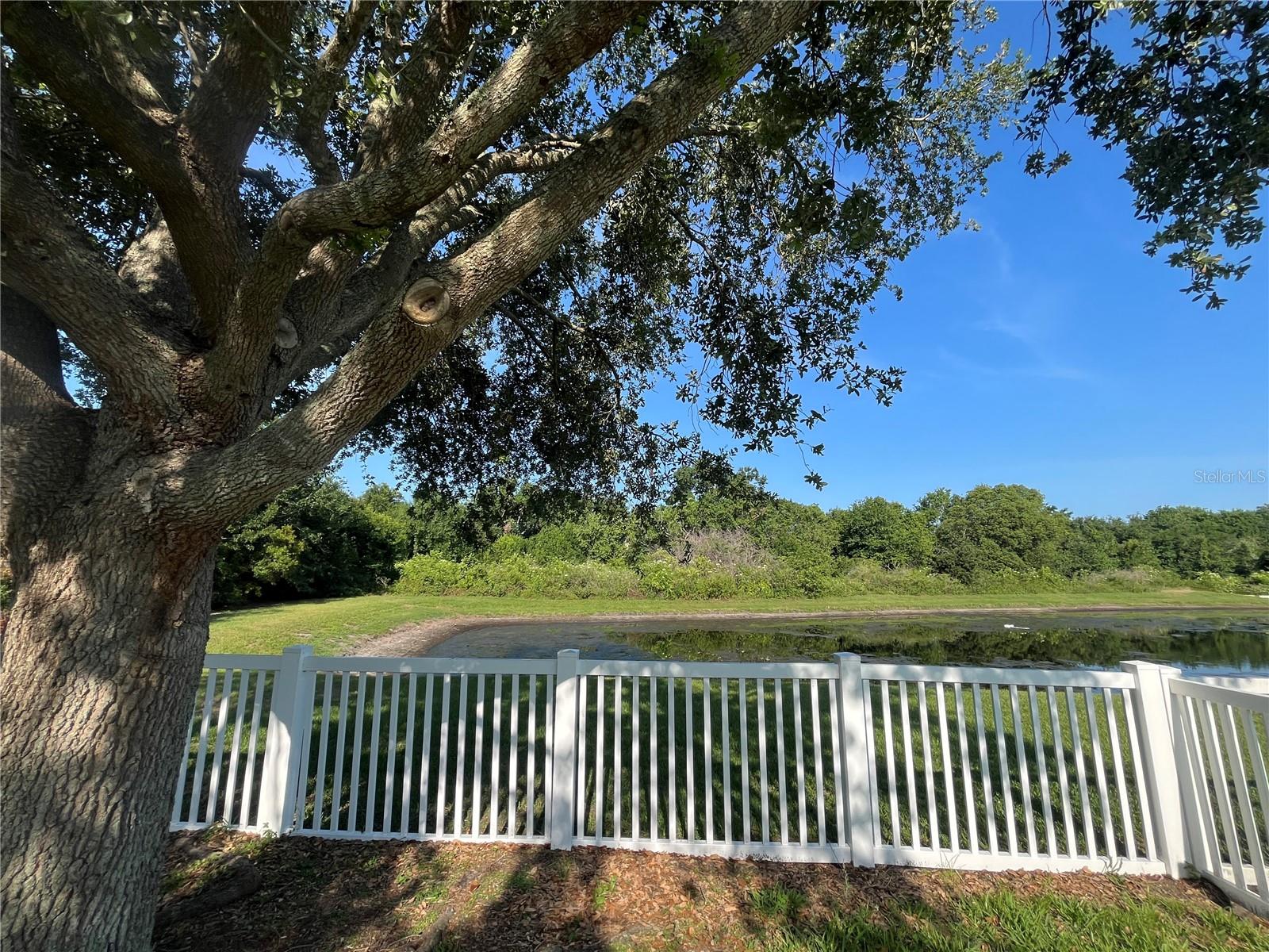 Image 42 of 47 For 11420 Bridge Pine Drive