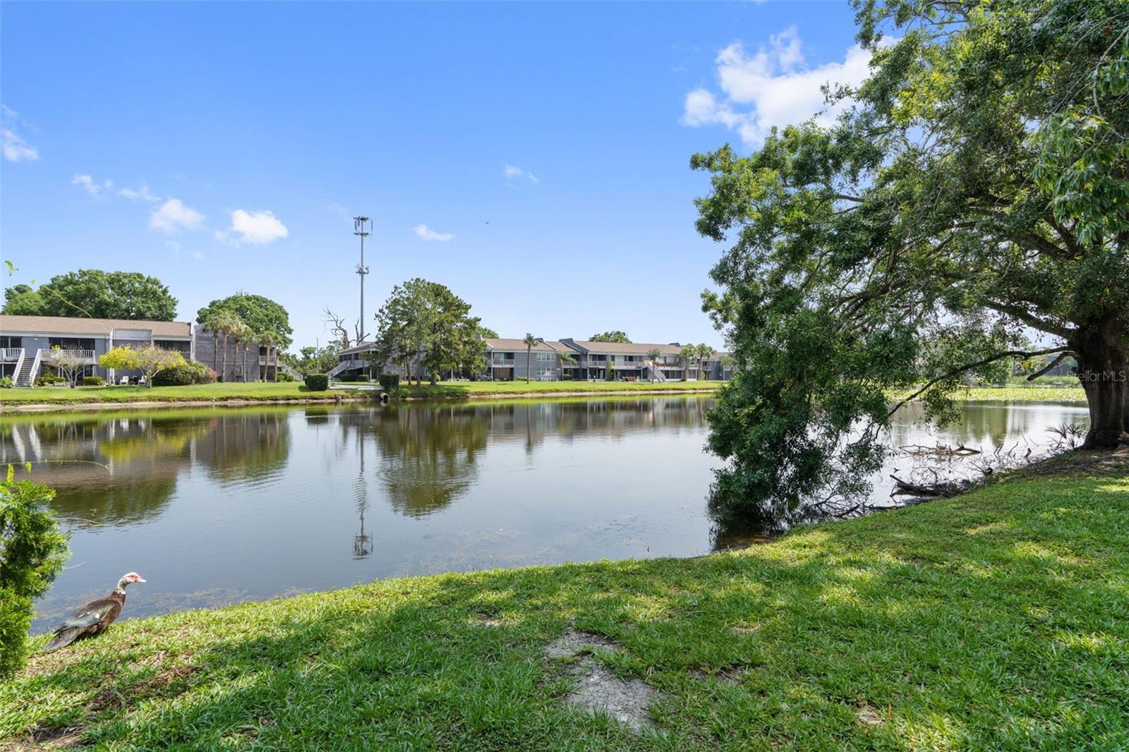 Image 24 of 28 For 4013 Muriel Place