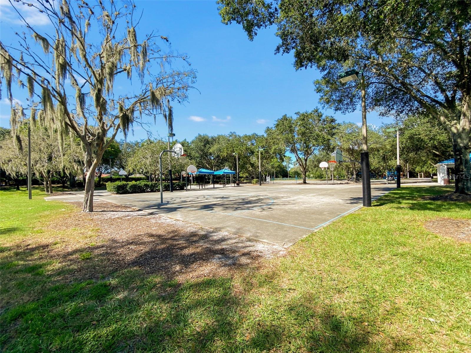 Image 100 of 100 For 5160 Loquat Court