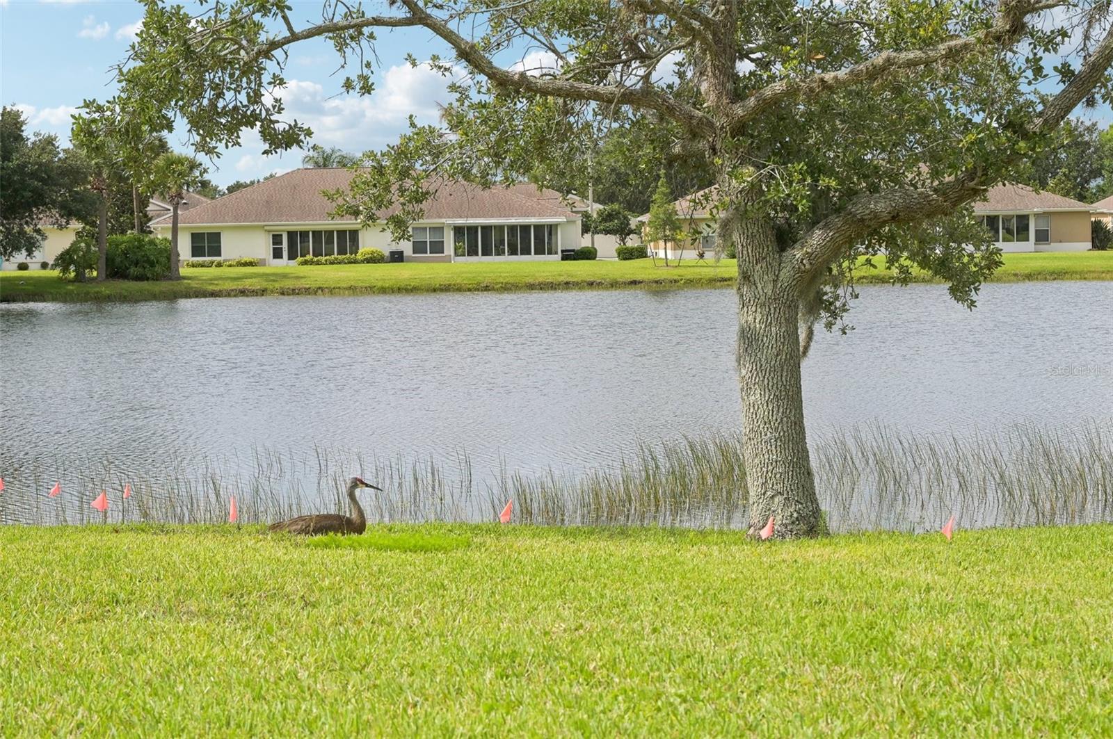 Image 33 of 51 For 2218 Brookfield Greens Circle 82