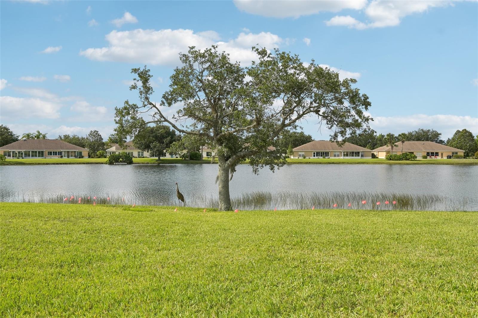 Image 35 of 51 For 2218 Brookfield Greens Circle 82