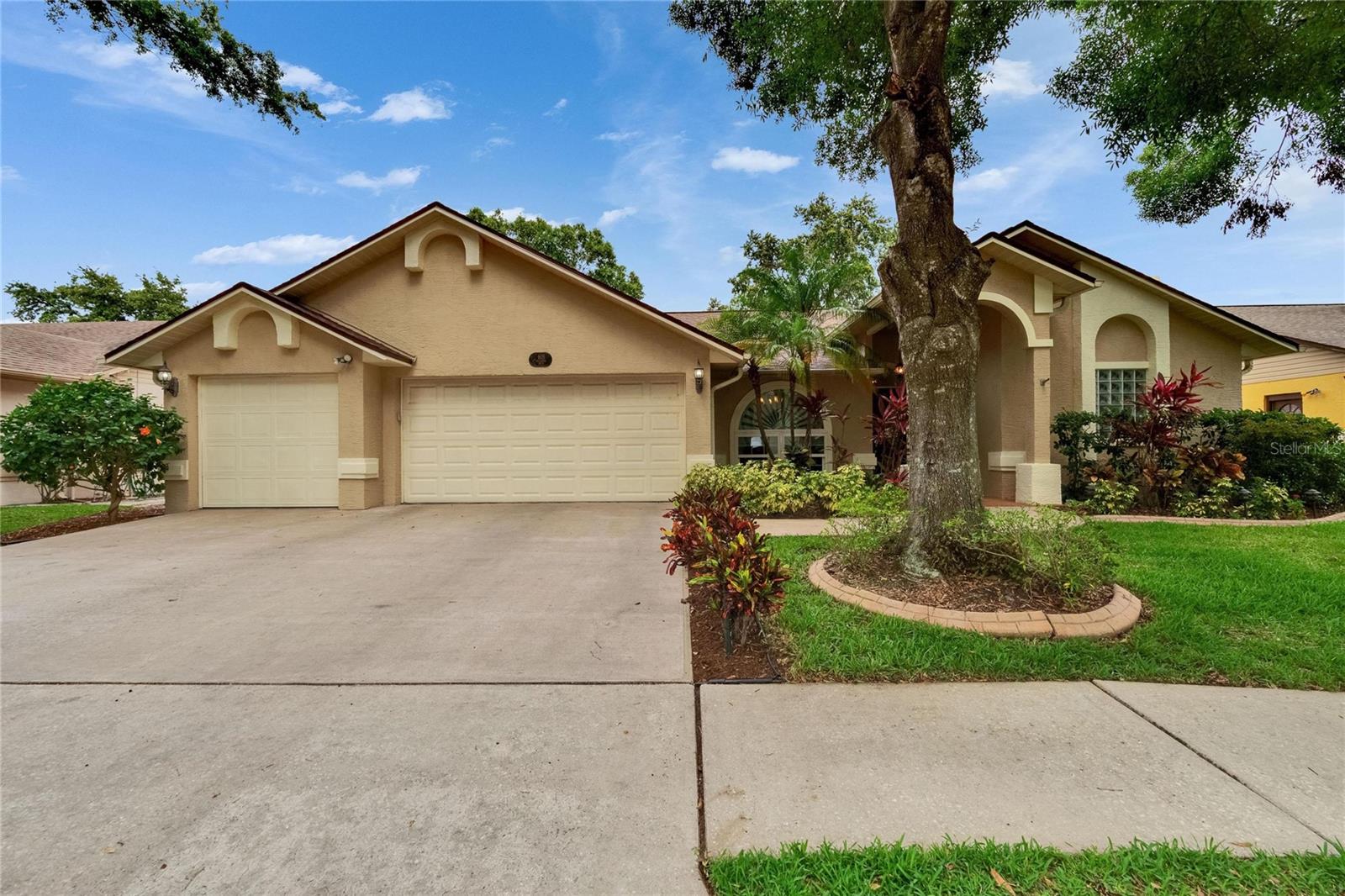 Details for 905 Balsamina Drive, BRANDON, FL 33510