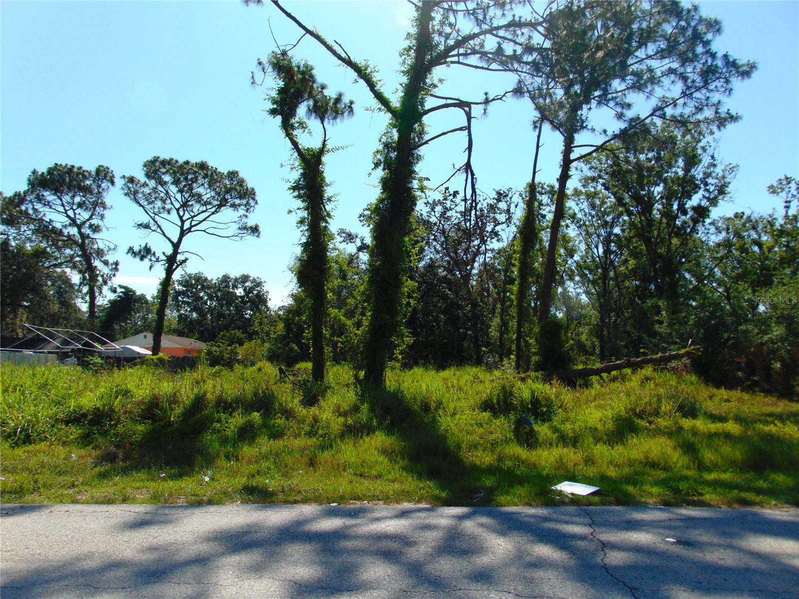 Details for 12217 Four Oaks Road, TAMPA, FL 33624