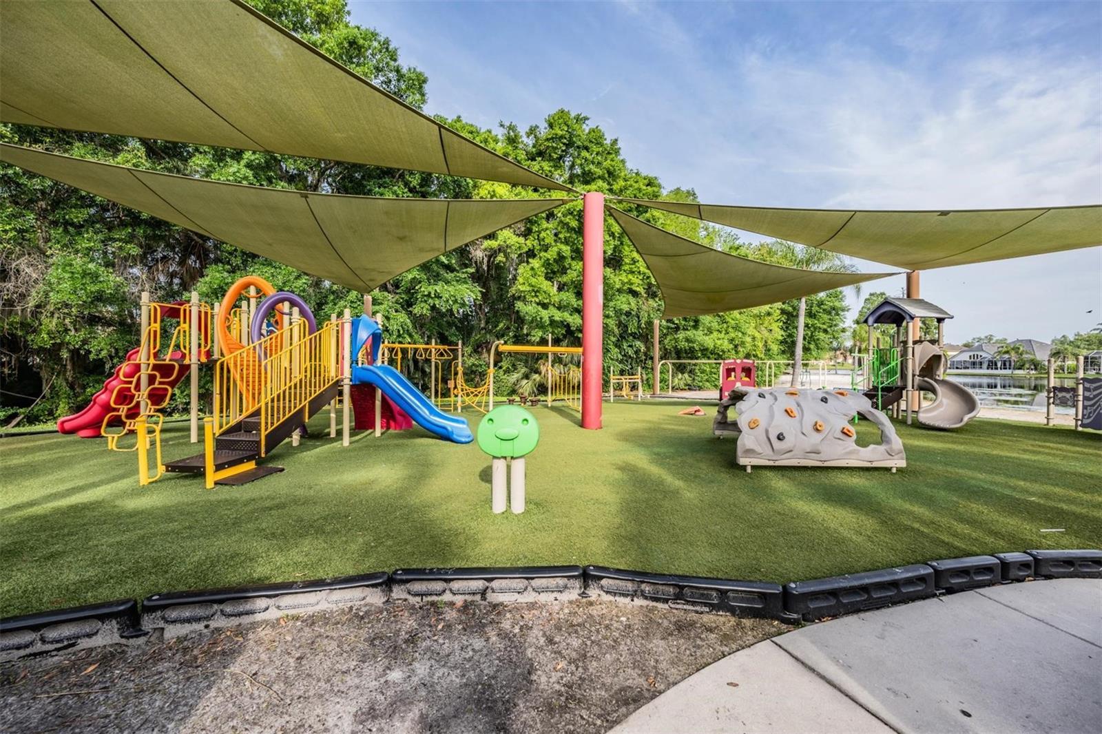 Listing photo id 60 for 10641 Cory Lake Drive