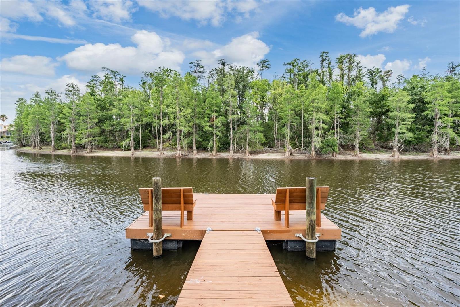 Listing photo id 5 for 10641 Cory Lake Drive