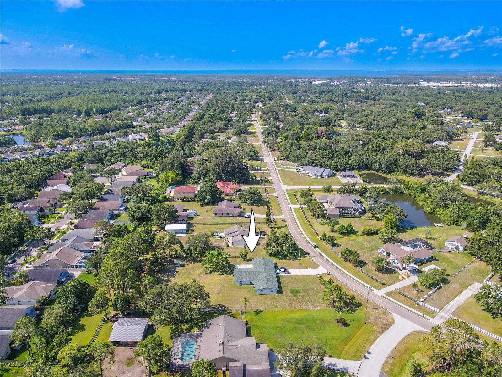 Listing photo id 48 for 12220 Twin Branch Acres Road