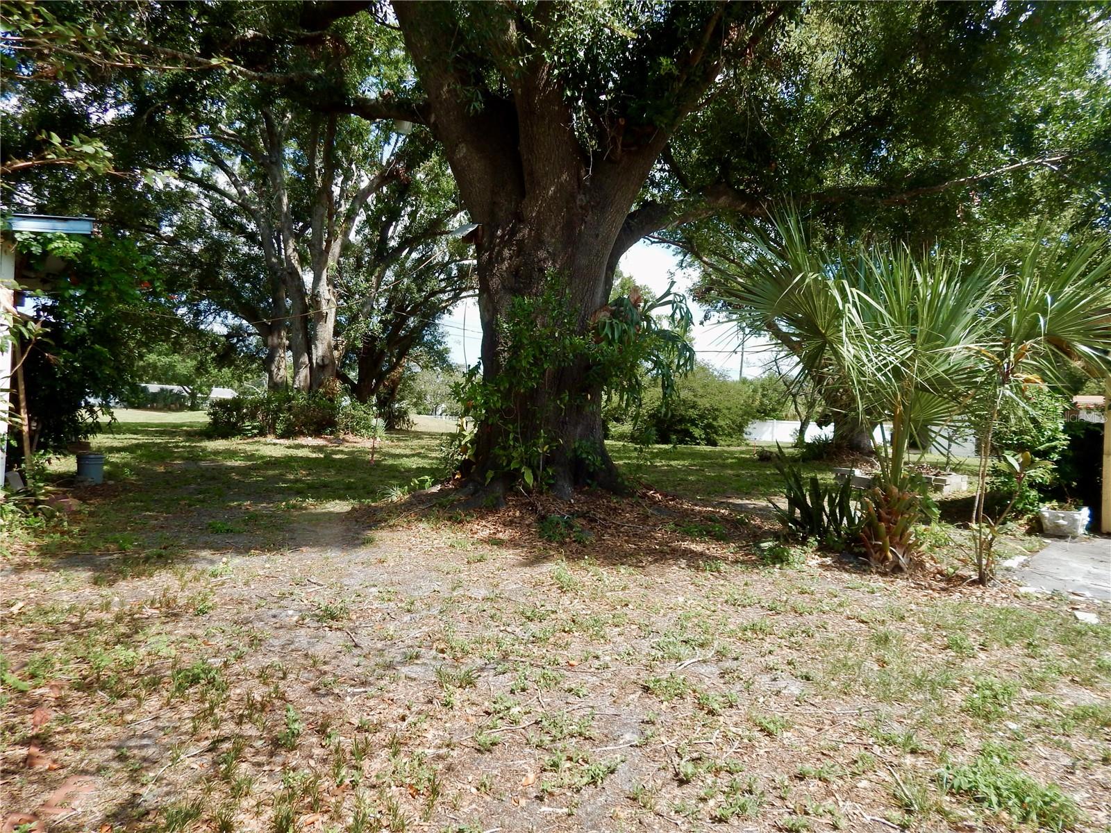 Listing photo id 20 for 10308 Fore Drive