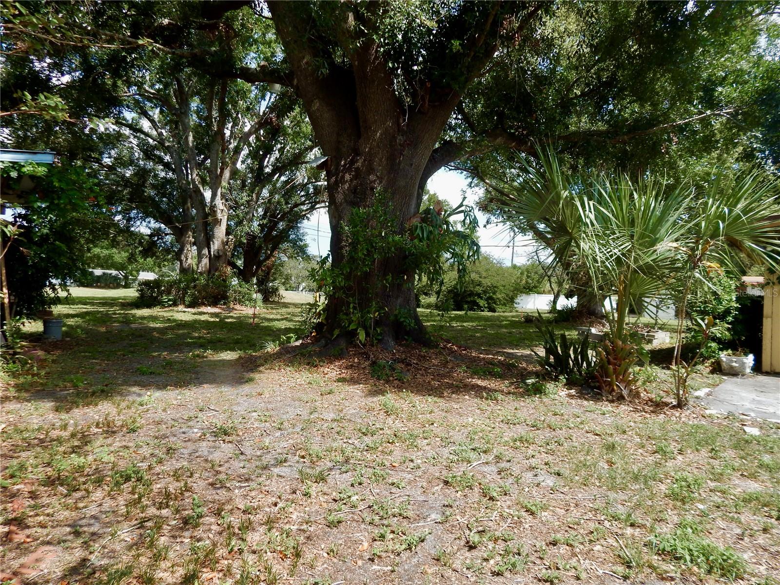 Listing photo id 25 for 10308 Fore Drive