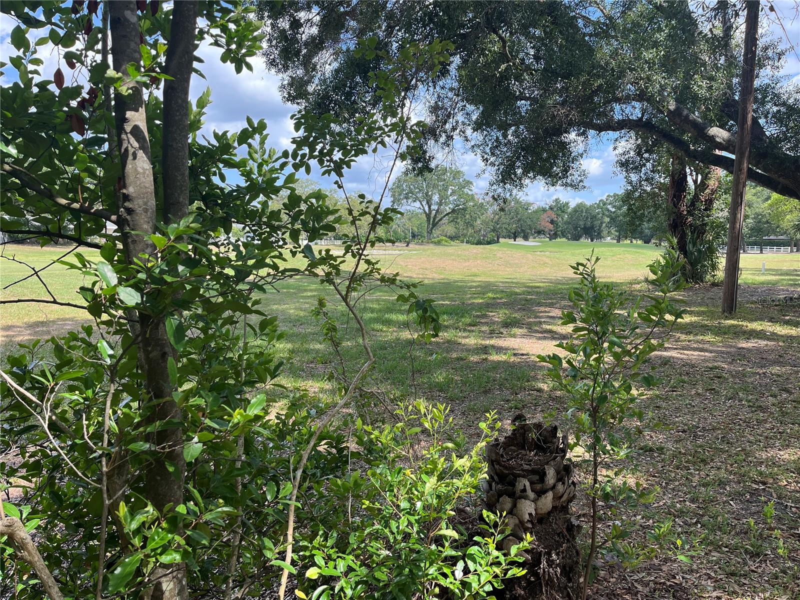 Listing photo id 62 for 10308 Fore Drive