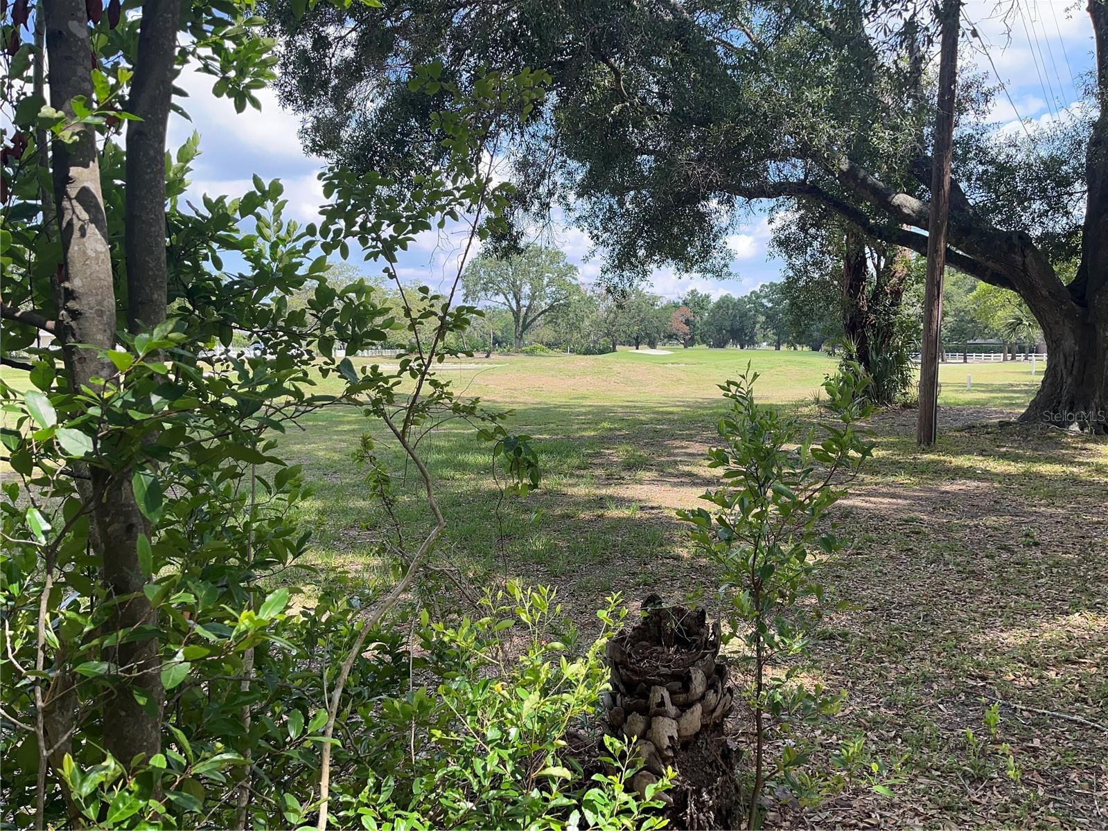 Listing photo id 63 for 10308 Fore Drive