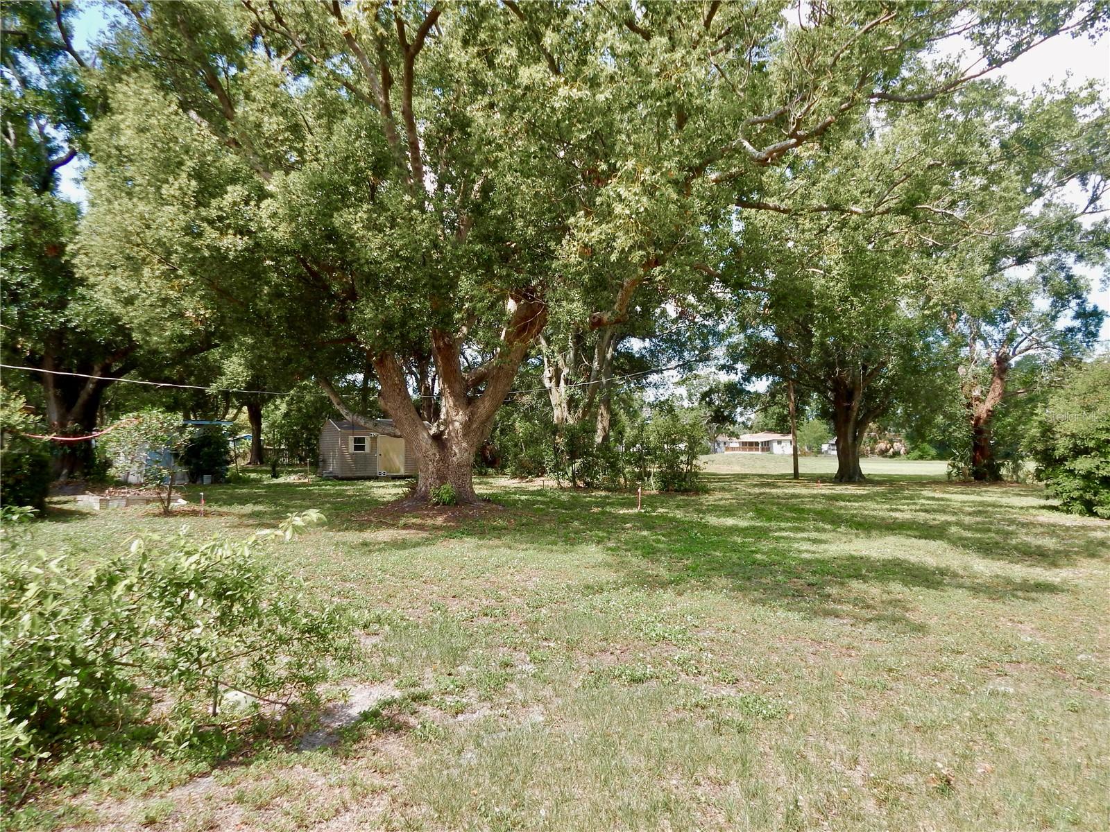 Listing photo id 7 for 10308 Fore Drive