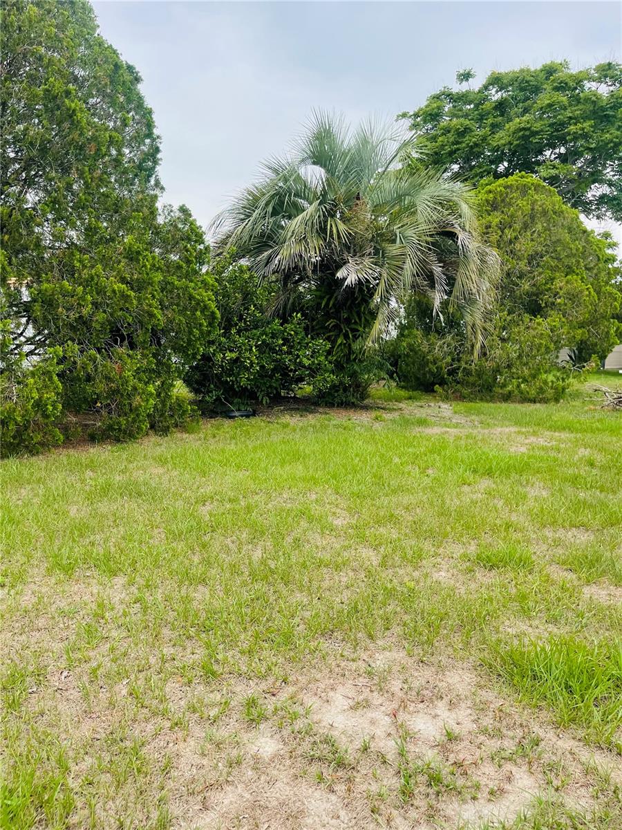 Image 41 of 42 For 14312 Nectarine Street