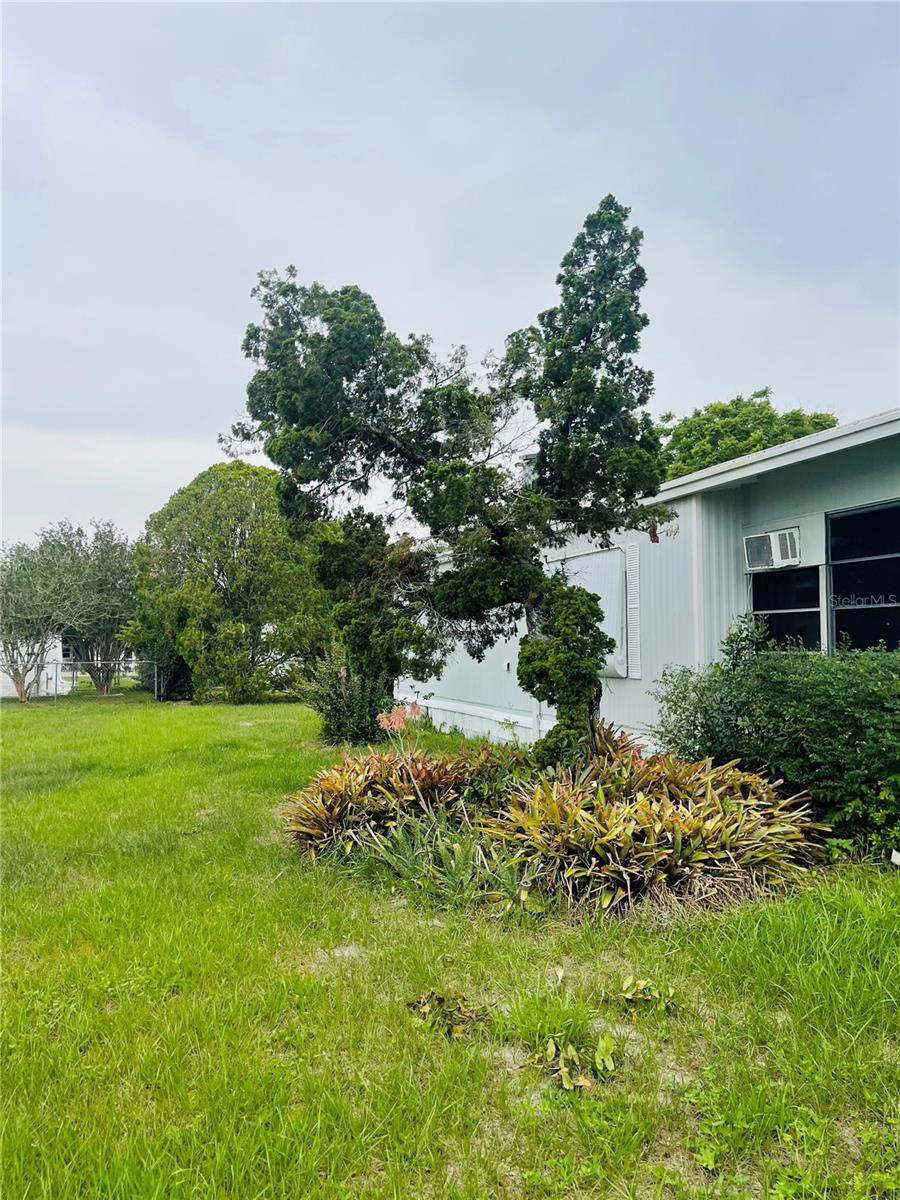 Image 42 of 42 For 14312 Nectarine Street