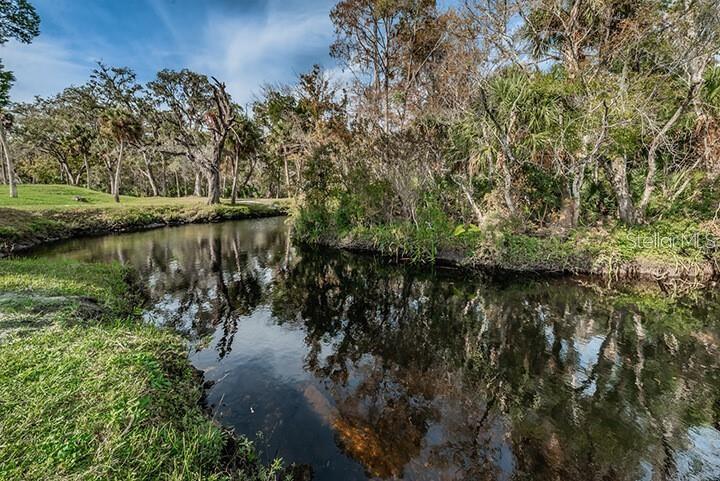 Image 48 of 61 For 5496 Riverwalk Preserve Drive