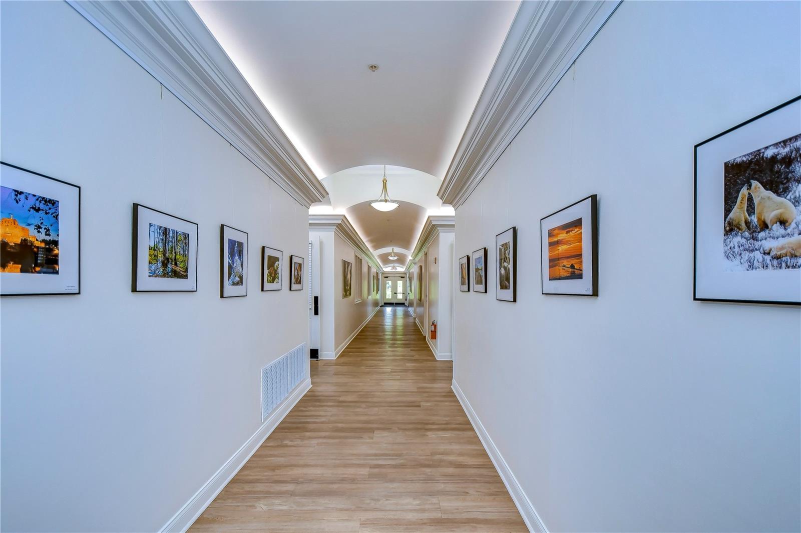Listing photo id 25 for 1210 Wolford Drive